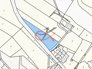 Prodej pozemku pro bydlení, Větřkovice, 4626 m2