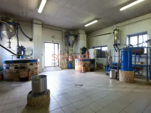 Prodej výrobních prostor, Biskupice, 1612 m2