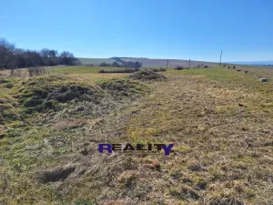 Prodej rodinného domu, Žatec - Milčeves, 205 m2