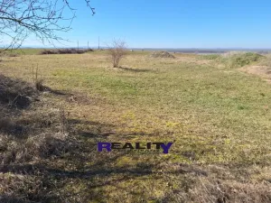 Prodej pozemku pro bydlení, Žatec - Milčeves, 4163 m2