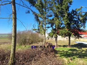 Prodej pozemku pro bydlení, Žatec - Milčeves, 4163 m2