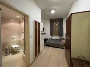 Pronájem bytu 1+kk, Praha - Žižkov, Prokopova, 19 m2