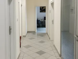 Pronájem kanceláře, Brno, Orlí, 171 m2