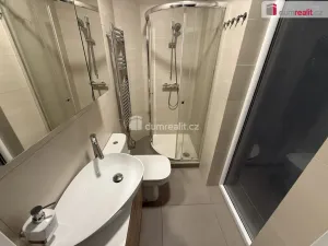 Prodej bytu 2+kk, Praha - Nusle, Boleslavova, 57 m2