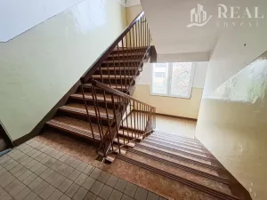 Prodej bytu 2+1, Bílina - Teplické Předměstí, M. Švabinského, 55 m2