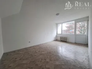 Prodej bytu 2+1, Bílina - Teplické Předměstí, M. Švabinského, 55 m2