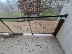 Prodej bytu 2+1, Bílina - Teplické Předměstí, M. Švabinského, 55 m2