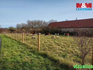 Prodej zemědělské usedlosti, Třebovle - Miškovice, 500 m2