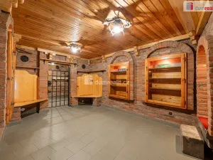 Pronájem obchodního prostoru, Mladá Boleslav - Mladá Boleslav III, Viničná, 107 m2