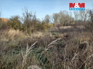 Prodej komerčního pozemku, Třebovle - Miškovice, 16998 m2