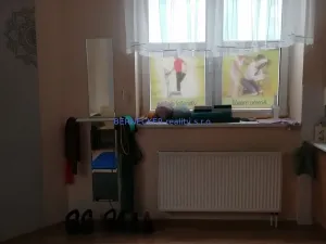 Pronájem komerční nemovitosti, Pardubice - Zelené Předměstí, nábřeží Závodu míru, 15 m2