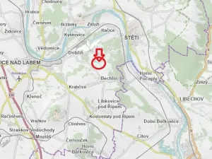 Prodej lesa, Bechlín, 10785 m2