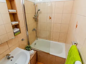 Pronájem bytu 2+kk, České Budějovice, Papírenská, 38 m2