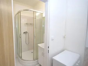 Pronájem bytu 1+kk, Frýdek-Místek, Bruzovská, 30 m2