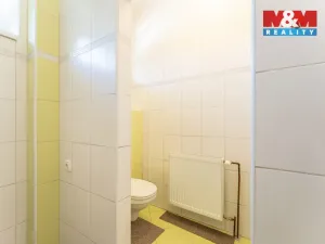 Pronájem bytu 3+kk, Bezno, Nemyslovická, 71 m2