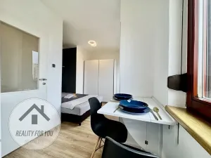 Pronájem bytu 1+kk, Praha - Záběhlice, Dunická, 18 m2