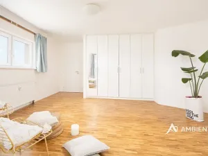 Prodej bytu 6+kk a větší, Brno, Čápkova, 209 m2