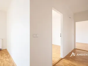 Prodej bytu 6+kk a větší, Brno, Čápkova, 209 m2