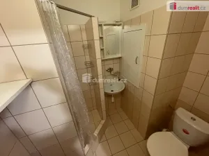 Pronájem bytu 1+1, Ostrava - Výškovice, 29. dubna, 27 m2