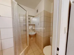 Pronájem bytu 1+1, Ostrava - Výškovice, 29. dubna, 27 m2