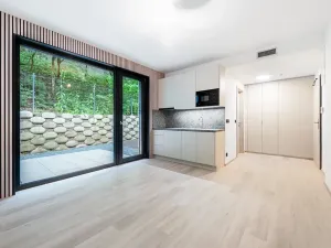 Prodej bytu 1+kk, Praha - Hlubočepy, Na Zlíchově, 25 m2