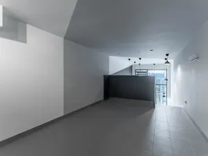 Pronájem obchodního prostoru, Praha - Karlín, U Mlýnského kanálu, 54 m2