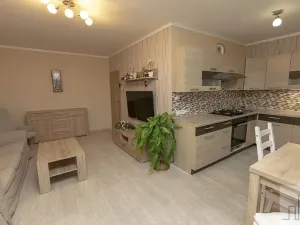 Prodej bytu 2+1, Litvínov, Valdštejnská, 49 m2