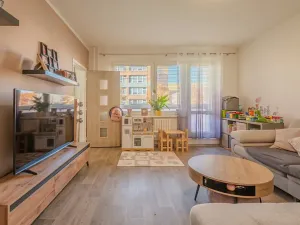 Prodej bytu 3+1, Kopřivnice, 17. listopadu, 66 m2