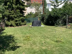 Pronájem bytu 2+kk, Poděbrady, Dr. Beneše, 50 m2