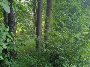 Prodej pozemku, Rožnov pod Radhoštěm, 126 m2