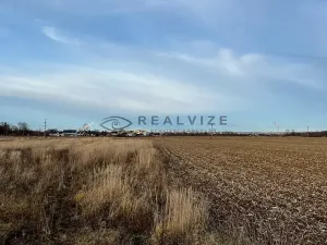 Prodej pozemku, Včelná, 10057 m2