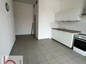 Pronájem bytu 1+1, České Budějovice, Matice školské, 38 m2