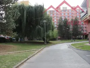 Pronájem bytu 2+1, Chomutov, Bezručova, 65 m2