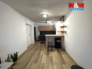Pronájem bytu 1+kk, Milevsko, Masarykova, 30 m2