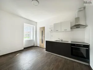 Pronájem bytu 1+1, Osek, Obránců míru, 36 m2