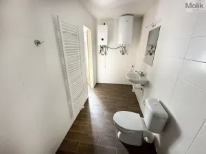 Pronájem bytu 1+1, Osek, Obránců míru, 36 m2