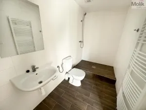 Pronájem bytu 1+1, Osek, Obránců míru, 36 m2