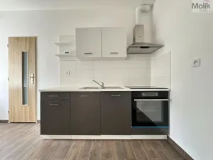 Pronájem bytu 1+1, Osek, Obránců míru, 36 m2