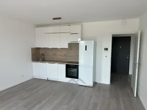 Prodej bytu 2+kk, Kladno, U Engerthu, 55 m2