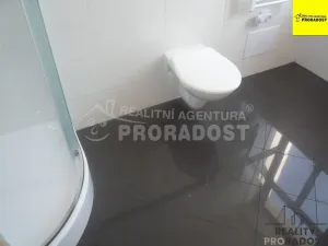 Pronájem bytu 1+kk, Kladno, Jeronýmova, 20 m2