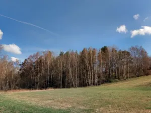 Prodej louky, Hošťka, 22911 m2