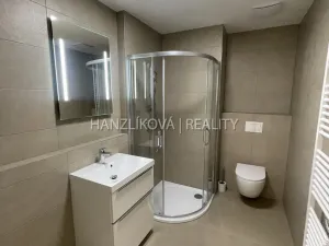 Pronájem bytu 2+kk, České Budějovice, Hálkova, 37 m2