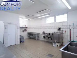 Prodej výrobních prostor, Suchdol nad Odrou - Kletné, 220 m2