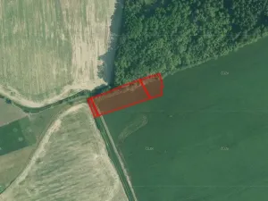 Prodej pole, Olešník, 23269 m2