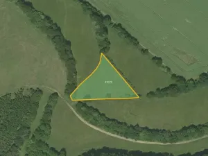 Prodej pole, Vranová Lhota, 9711 m2