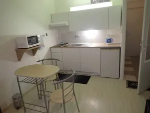 Pronájem bytu 1+kk, Liberec - Liberec I-Staré Město, Ruprechtická, 20 m2