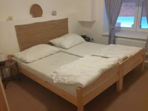 Prodej ubytování, Bílá Lhota - Hradečná, 250 m2