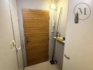 Prodej bytu 1+kk, České Budějovice, Fr. Ondříčka, 29 m2