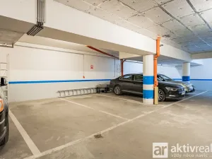 Pronájem bytu 5+kk, Praha - Vinohrady, Perucká, 180 m2