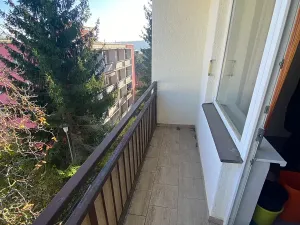 Prodej bytu 2+1, Brno, Plevova, 58 m2